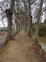 S&eacute;quia Quarta