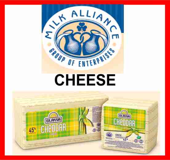 1 M. ALLIANCE CHEESE.jpg