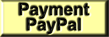 PAGO PAY PAL.png