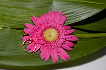 100919_Boda Rosa 2 (41).jpg