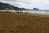 Playa_Zarauz.jpg