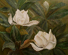 Magnolia II.jpg