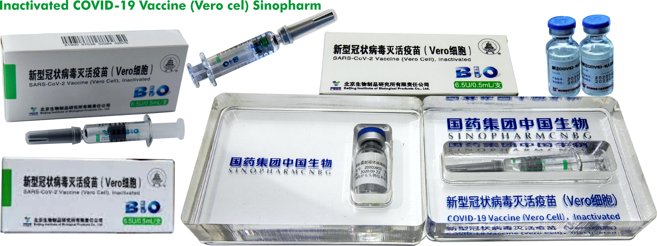 A-2- SARS-COVID-2.png