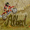 Albert moto trail.jpg