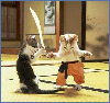 gatos_samurais.bmp