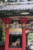 Nikko_Toshogu_ai.jpg