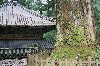 Nikko_Toshogu_ca.jpg