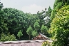 Ryoan-ji_ah.jpg