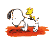 snoopy12[1].gif