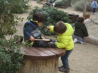 IMG_2212 - copia.JPG