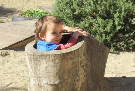 IMG_5541 - copia.JPG