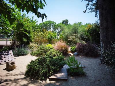 JARDI4 PASARELA.jpeg JARDI4 PASARELA.jpeg