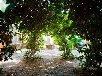 PONT VEGETAL.jpeg PONT VEGETAL.jpeg