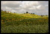 DSC_0113alentejo.jpg