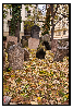 pragaIII-10.jpg