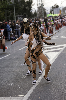 140301_Carnaval_TGN (152) copia-735.jpg