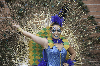 140301_Carnaval_TGN (246) copia-689.jpg