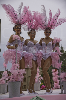 140301_Carnaval_TGN (56)- copia-641.jpg