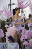 140301_Carnaval_TGN (92)- copia-643.jpg