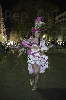 140302_Carnaval_TGN (431) copia-805.jpg