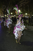 140302_Carnaval_TGN (436) copia-809.jpg