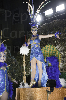140302_Carnaval_TGN (723) copia-723.jpg