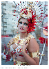 Carnestoltes TGN 16-0639.jpg