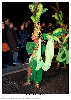Carnestoltes TGN 16-0947.jpg