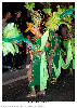 Carnestoltes TGN 16-0950.jpg