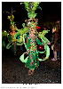 Carnestoltes TGN 16-0955.jpg