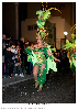 Carnestoltes TGN 16-0956.jpg