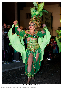 Carnestoltes TGN 16-0957.jpg