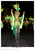 Carnestoltes TGN 16-0958.jpg