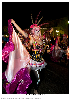 Carnestoltes TGN 16-0980.jpg