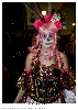 Carnestoltes TGN 16-0998.jpg