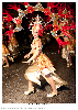 Carnestoltes TGN 16-1010.jpg