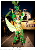 Carnestoltes TGN 16-1296.jpg