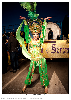 Carnestoltes TGN 16-1297.jpg