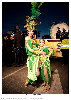 Carnestoltes TGN 16-1300.jpg