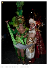 Carnestoltes TGN 16-1327.jpg