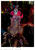 Carnestoltes TGN 16-1472.jpg