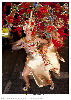 Carnestoltes TGN 16-1515.jpg