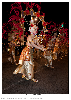 Carnestoltes TGN 16-1531.jpg