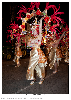 Carnestoltes TGN 16-1532.jpg