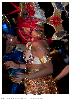 Carnestoltes TGN 16-1565.jpg
