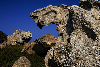 Cap_de_creus_MG_0249.jpg